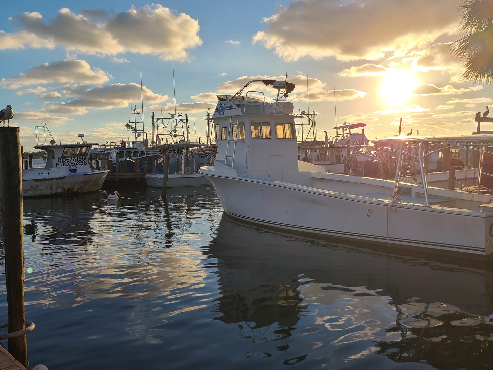 Commercial fishing boats at the docks in Cortez village at sunset