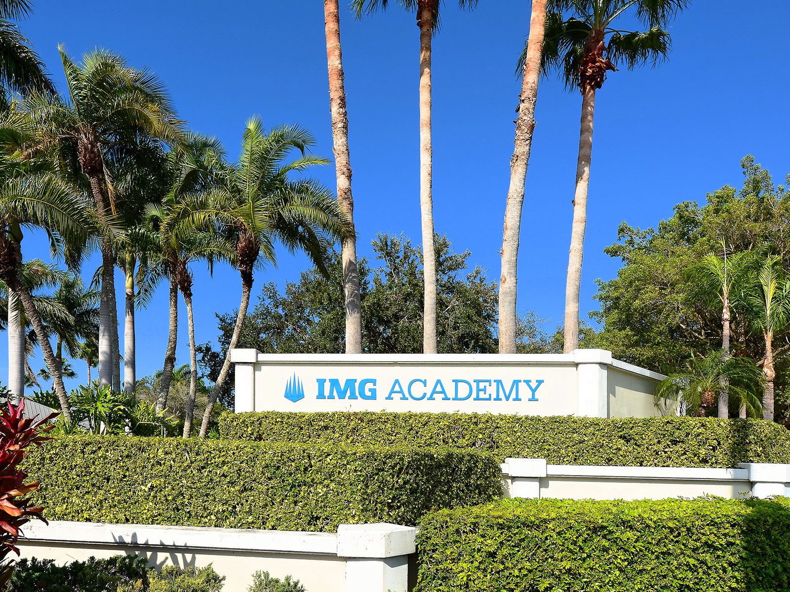 The IMG Academy entrance sign framed by royal palms in West Bradenton